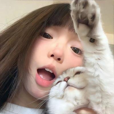 转生成猫的大叔